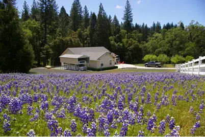 22590 Rocky Lane, Pioneer, CA 95666 - Photo 53