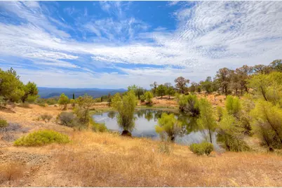 9018 Winding Way, Oregon House, CA 95962 - Photo 53
