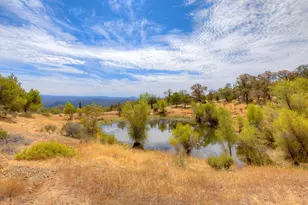 9018 Winding Way, Oregon House, CA 95962 - Photo 53