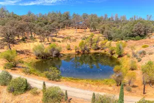 9018 Winding Way, Oregon House, CA 95962 - Photo 61