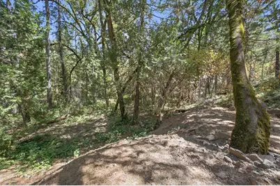 0 Sly Park Road, Placerville, CA 95667 - Photo 19