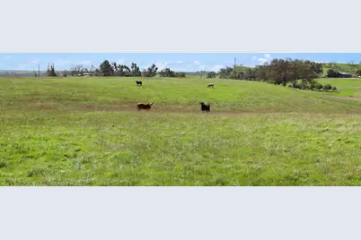11750 N Wimer Road, Linden, CA 95236 - Photo 13