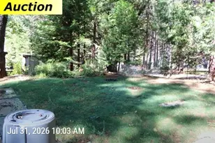 5553 Happy Pines Ct, Foresthill, CA 95631 - Photo 19
