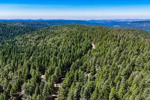 13382 Red Dog Rd, Nevada City, CA 95959 - Photo 43
