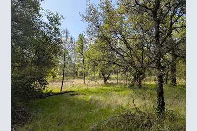 14677 Begonia Way, Oregon House, CA 95962 - Photo 9