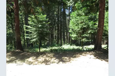 1881 Forebay Road, Pollock Pines, CA 95726 - Photo 9