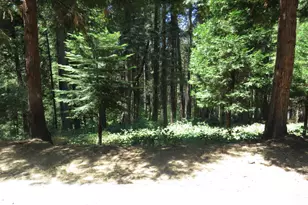 1881 Forebay Rd, Pollock Pines, CA 95726 - Photo 9