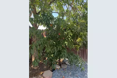 5824 41st Street, Sacramento, CA 95824 - Photo 21