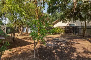 113 W Palo Alto Ave, Fresno, CA 93704 - Photo 33