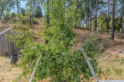 9307 Sun Road, Mountain Ranch, CA 95246 - Photo 85