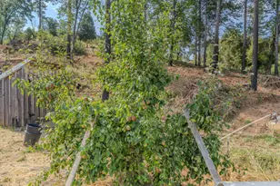 9307 Sun Rd, Mountain Ranch, CA 95246 - Photo 85