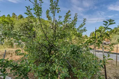 9307 Sun Road, Mountain Ranch, CA 95246 - Photo 83