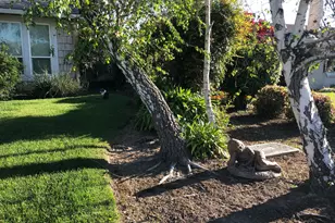 480 Cornell Dr, Turlock, CA 95382 - Photo 29