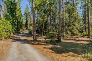 16056 N Cedar Heights Dr, Pioneer, CA 95666 - Photo 3