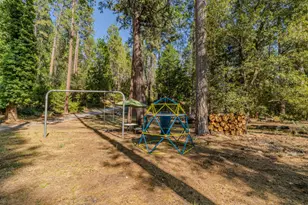 16056 N Cedar Heights Dr, Pioneer, CA 95666 - Photo 5