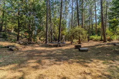 16056 N Cedar Heights Drive, Pioneer, CA 95666 - Photo 19