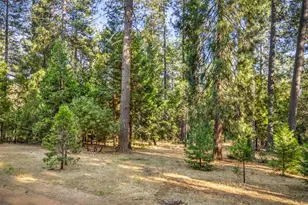 6600 State Hwy 193, Georgetown, CA 95634 - Photo 53