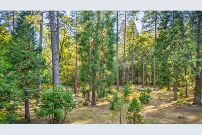 6600 State Highway 193, Georgetown, CA 95634 - Photo 47