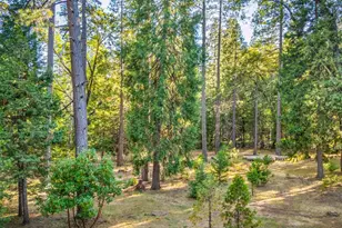 6600 State Hwy 193, Georgetown, CA 95634 - Photo 47