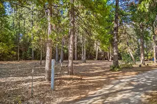 6600 State Hwy 193, Georgetown, CA 95634 - Photo 49