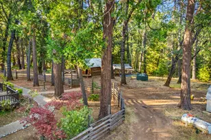 6600 State Hwy 193, Georgetown, CA 95634 - Photo 43