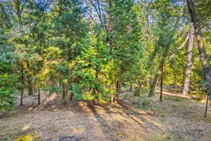 6600 State Hwy 193, Georgetown, CA 95634 - Photo 45