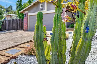 3063 Knollwood Drive, Cameron Park, CA 95682 - Photo 57