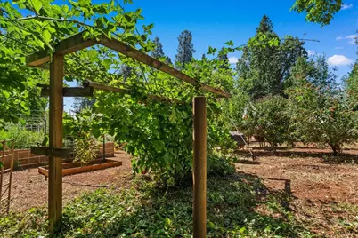 572 Blight Road, Grass Valley, CA 95945 - Photo 39