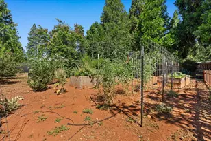 572 Blight Rd, Grass Valley, CA 95945 - Photo 37