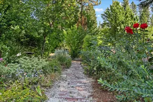572 Blight Rd, Grass Valley, CA 95945 - Photo 61
