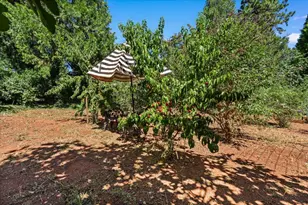 572 Blight Rd, Grass Valley, CA 95945 - Photo 41