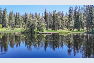 192 Vireo Way, Arnold, CA 95223 - Photo 49