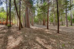 11223 Tower Hill Rd, Nevada City, CA 95959 - Photo 91