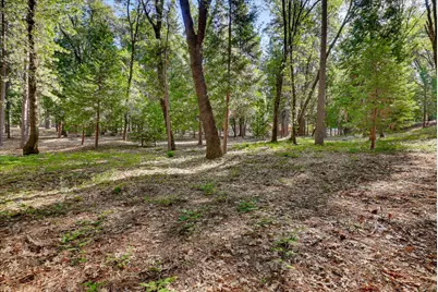 11223 Tower Hill Road, Nevada City, CA 95959 - Photo 83