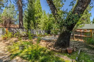 5539 Daisy Dr, Pollock Pines, CA 95726 - Photo 13