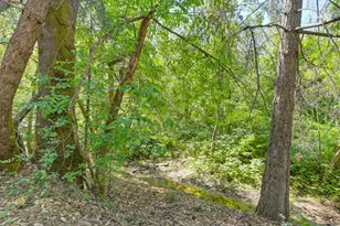 20495 Bellwood Ct, Foresthill, CA 95631 - Photo 49