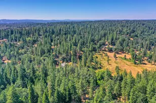 20495 Bellwood Ct, Foresthill, CA 95631 - Photo 61
