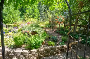 26035 Meadow Dr, Pioneer, CA 95666 - Photo 7