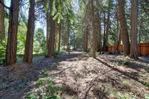 10421 Wentworth Springs Rd, Georgetown, CA 95634 - Photo 63