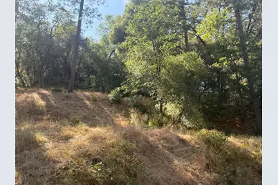2750 Bedford Avenue, Placerville, CA 95667 - Photo 3