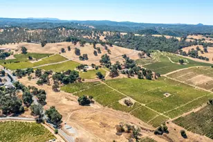 19940 Shenandoah School Rd, Plymouth, CA 95669 - Photo 7