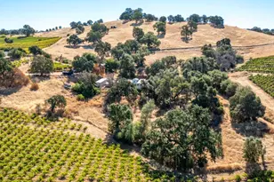 19940 Shenandoah School Rd, Plymouth, CA 95669 - Photo 13
