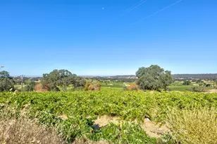 19940 Shenandoah School Rd, Plymouth, CA 95669 - Photo 47
