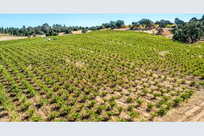 19940 Shenandoah School Road, Plymouth, CA 95669 - Photo 11