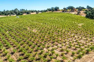 19940 Shenandoah School Rd, Plymouth, CA 95669 - Photo 11