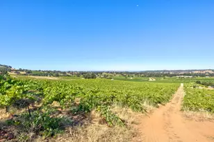 19940 Shenandoah School Rd, Plymouth, CA 95669 - Photo 57