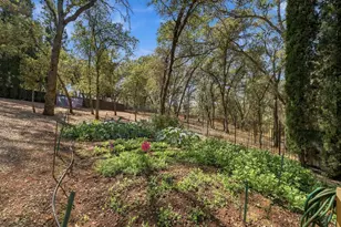 4120 Kilt Cir, El Dorado Hills, CA 95762 - Photo 75