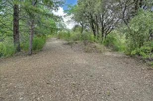 1380 Loka Ln, Greenwood, CA 95635 - Photo 55