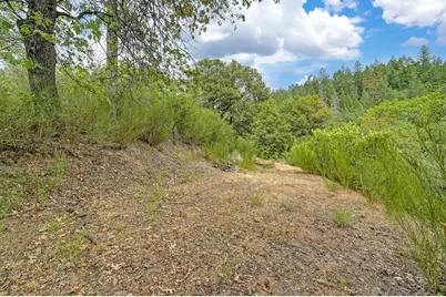 1380 Loka Lane, Greenwood, CA 95635 - Photo 57