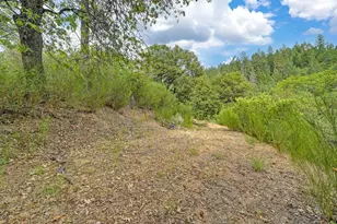 1380 Loka Ln, Greenwood, CA 95635 - Photo 57